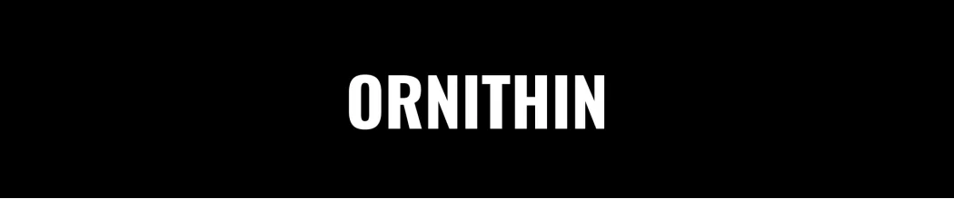 Maximize Your Performance with Ornithine Supplements