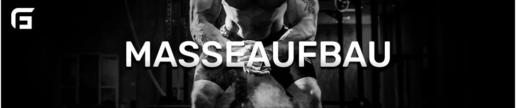 Get Massive Results with Our Mass Building Programs